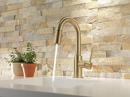 Delta Faucet Trinsic Gold Bar Faucet with Pull Down Sprayer, Bar Sink Faucet Single Hole, Wet Bar Faucets with Pull Down Sprayer, Prep Sink Faucet, Faucet for Bar Sink, Champagne Bronze 9959-CZ-DST