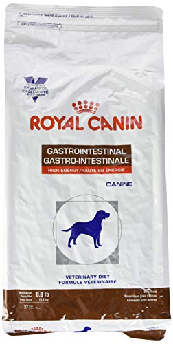 Royal Canin Veterinary Diet Canine Gastrointestinal High Energy Dry Dog Food, 8.8 lb