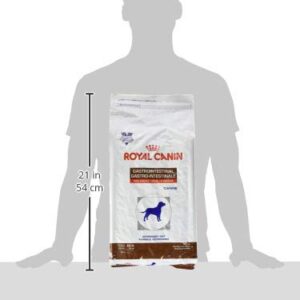 Royal Canin Veterinary Diet Canine Gastrointestinal High Energy Dry Dog Food, 8.8 lb