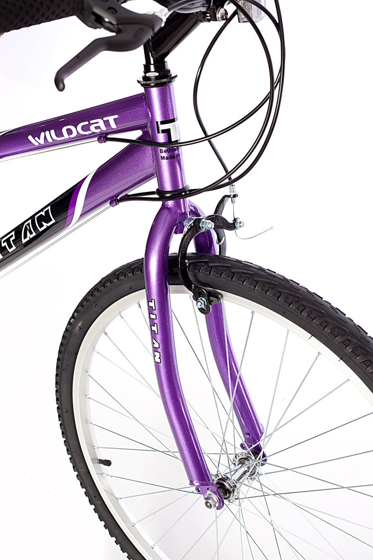 Titan Wildcat Ladies Mountain Bike (Purple/Black, 26-inch)