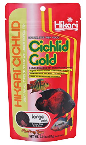 Hikari 2-Ounce Cichlid Gold Floating Pellets for Pets, Large