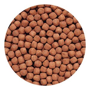 Hikari 2-Ounce Cichlid Gold Floating Pellets for Pets, Large