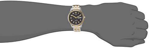 Timex Men's T2N093 Charles Street Two-Tone Extra-Long Stainless Steel Expansion Band Watch