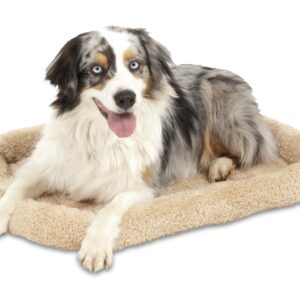 Petmate Bolster Style Kennel Mat, 32 by 21-Inch