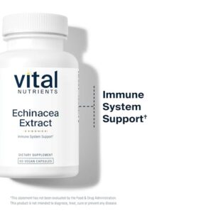 Vital Nutrients - Echinacea Extract - Immune System Support - 60 Vegetarian Capsules per Bottle - 1000 mg