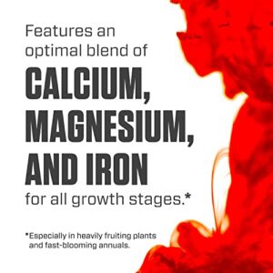 Botanicare Cal-Mag Plus, A Calcium, Magnesium, And Iron Plant Supplement, Corrects Common Plant Deficiencies, Add To Water Or Use As A Spray, 2-0-0 NPK, 5 Gallon