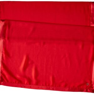 Calvin Klein Women's Satin Border Chiffon Scarf, Rouge, One Size