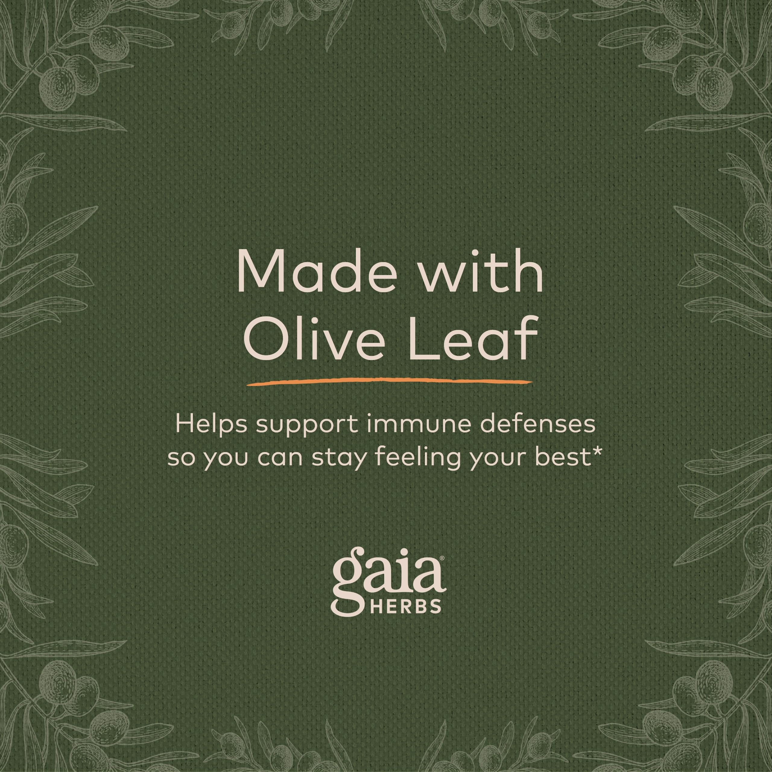 Gaia Herbs Olive Leaf - Traditional Immune Health Support - Immune System Supplement with Olive Leaf Extract and Oleuropein - 120 Vegan Liquid Phyto-Caps