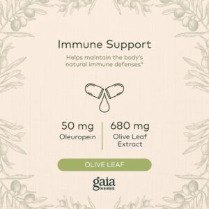 Gaia Herbs Olive Leaf - Traditional Immune Health Support - Immune System Supplement with Olive Leaf Extract and Oleuropein - 120 Vegan Liquid Phyto-Caps