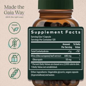 Gaia Herbs Olive Leaf - Traditional Immune Health Support - Immune System Supplement with Olive Leaf Extract and Oleuropein - 120 Vegan Liquid Phyto-Caps