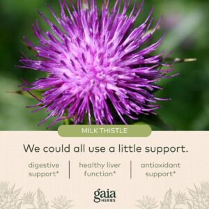 Gaia Herbs Milk Thistle - Liver Supplement & Cleanse Support for Maintaining Healthy Liver Function* - 120 Vegan Capsules (40-Day Supply)