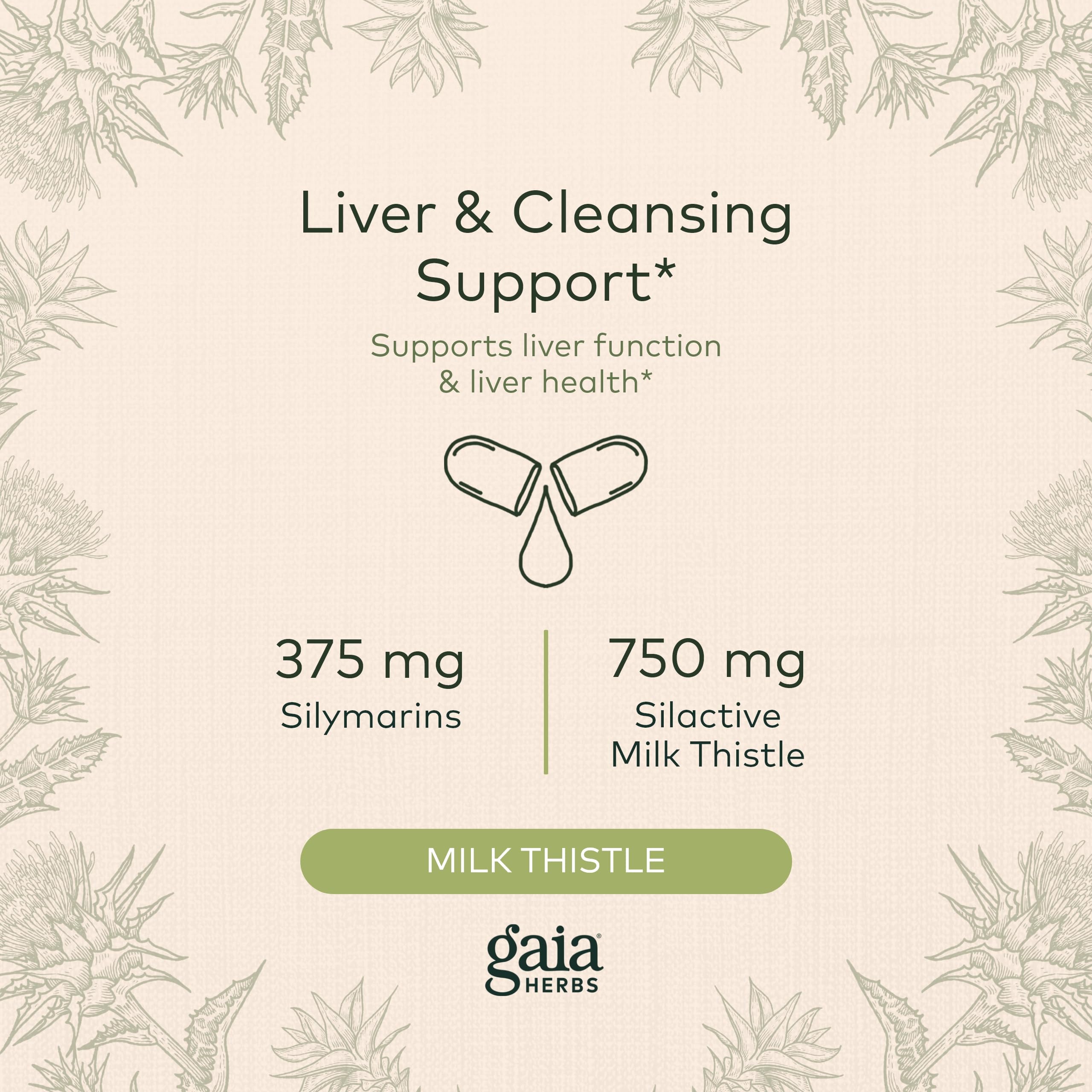 Gaia Herbs Milk Thistle - Liver Supplement & Cleanse Support for Maintaining Healthy Liver Function* - 120 Vegan Capsules (40-Day Supply)