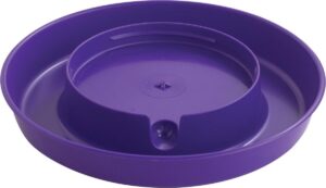 little giant 750purple purple screw-on base for 1-gallon plastic poultry waterer