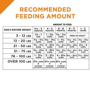 Purina Pro Plan High Protein Puppy Food Shredded Blend Chicken & Rice Formula - 18 lb. Bag