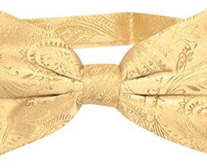 Vesuvio Napoli BOWTIE Gold Color Paisley Color Men's Bow Tie for Tuxedo or Suit