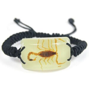 Glow In The Dark Lucite Rectangle Twisted Band Bracelet w/Genuine Golden Scorpion