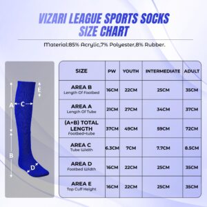 Vizari League Soccer Sock - Royal, Youth Size