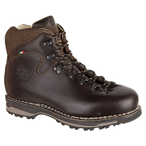 Zamberlan Men's 1023 Latemar NW RR Hiking Boot,Waxed Dark Brown,9 M US