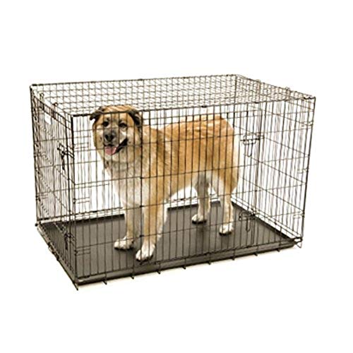 Precision Pet Products Two Door Provalue Wire Dog Crate, 48 Inch, For Pets 90-125 lbs, With 5-Point Locking System