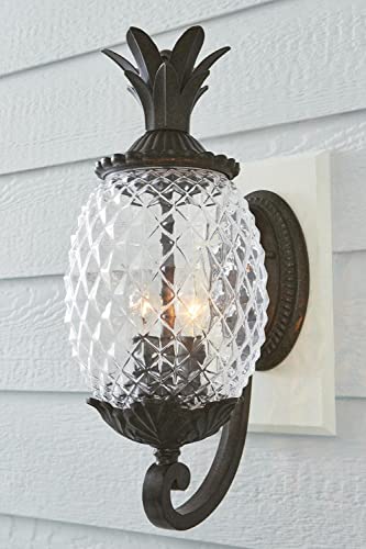 Acclaim 7501BC Lanai Collection 2-Light Wall Mount Outdoor Light Fixture, Black Coral