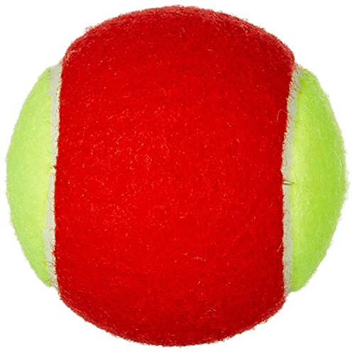 WILSON Starter Red Tennis Balls - 3 balls