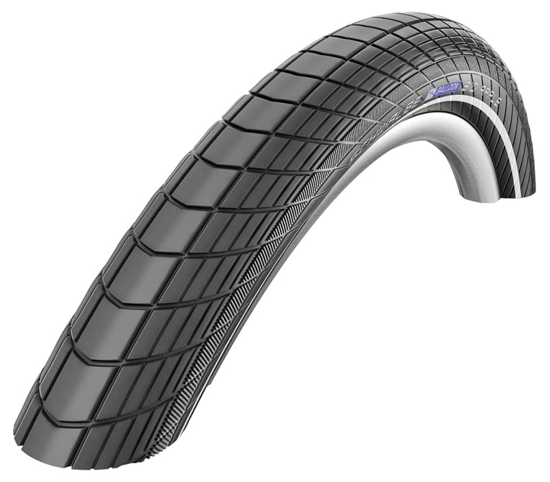 SCHWALBE Big Apple RaceGuard RLX Wire Bead Tire, Black, 26 x 2.15-Inch