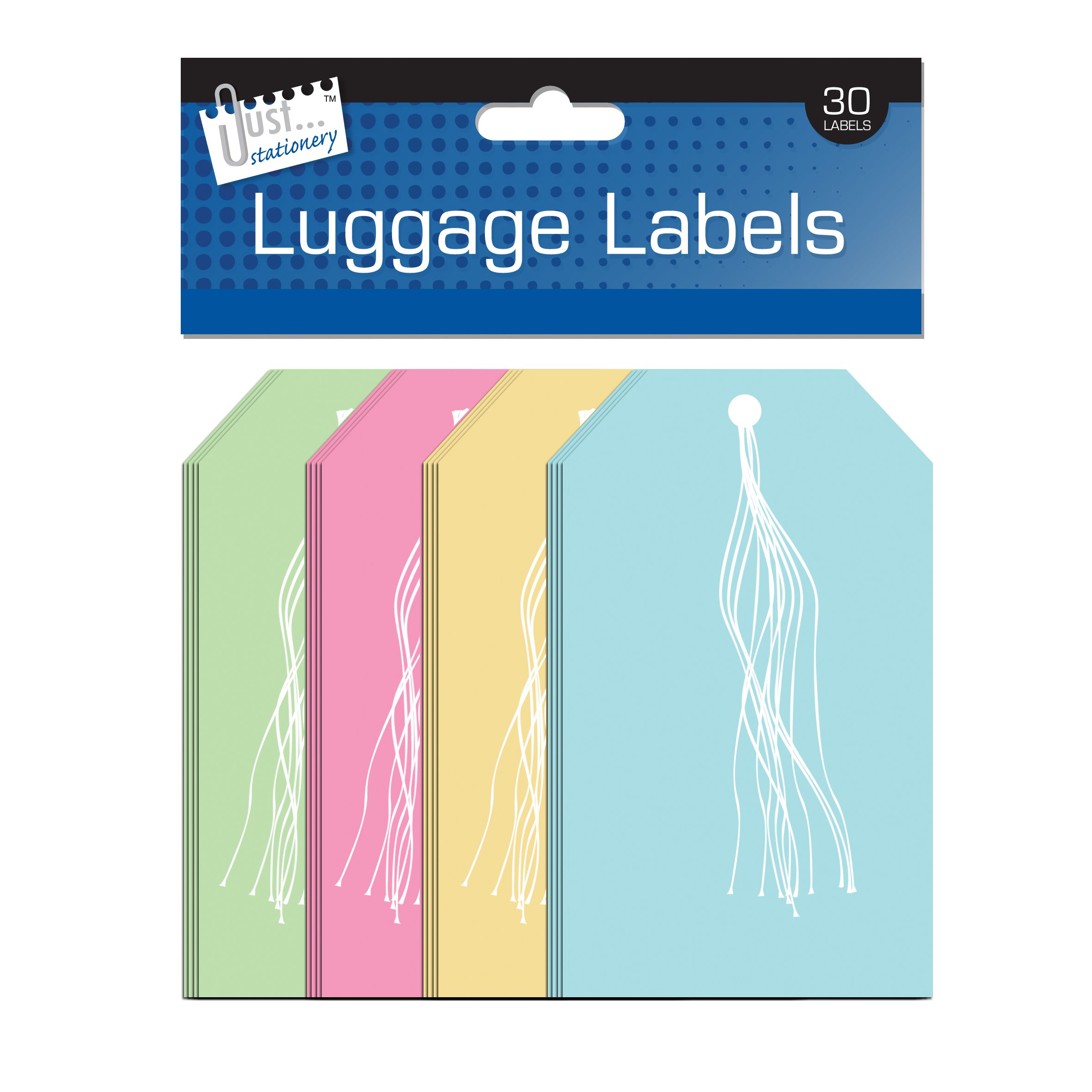 Just Stationery 135x75mm Luggage Label (Pack of 30)