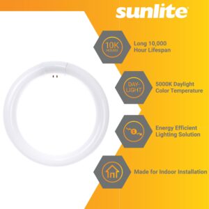 Sunlite FCL30/50K T9 Round Fluorescent Circline Lamp, 30 Watts, 1800 Lumens, 5000K Daylight, 10000 Rated Hours, RoHS Compliant, G10Q 4-Pin Base, 1 Pack