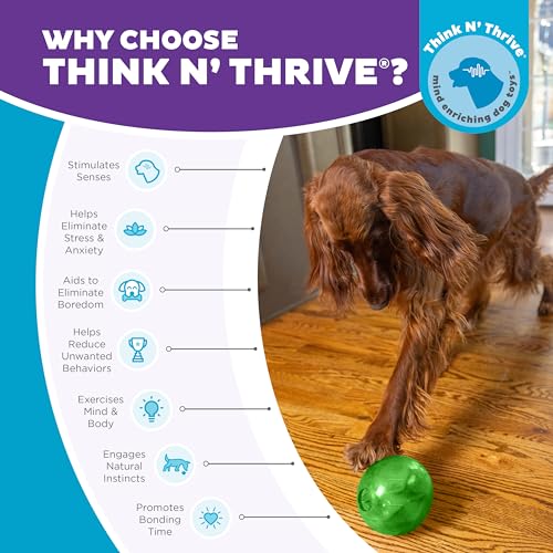 Outward Hound Mazee Puzzle Ball Interactive Treat Dispensing Dog Toy, Green