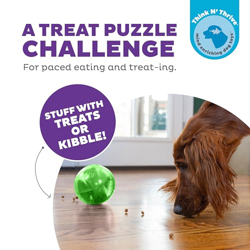 Outward Hound Mazee Puzzle Ball Interactive Treat Dispensing Dog Toy, Green