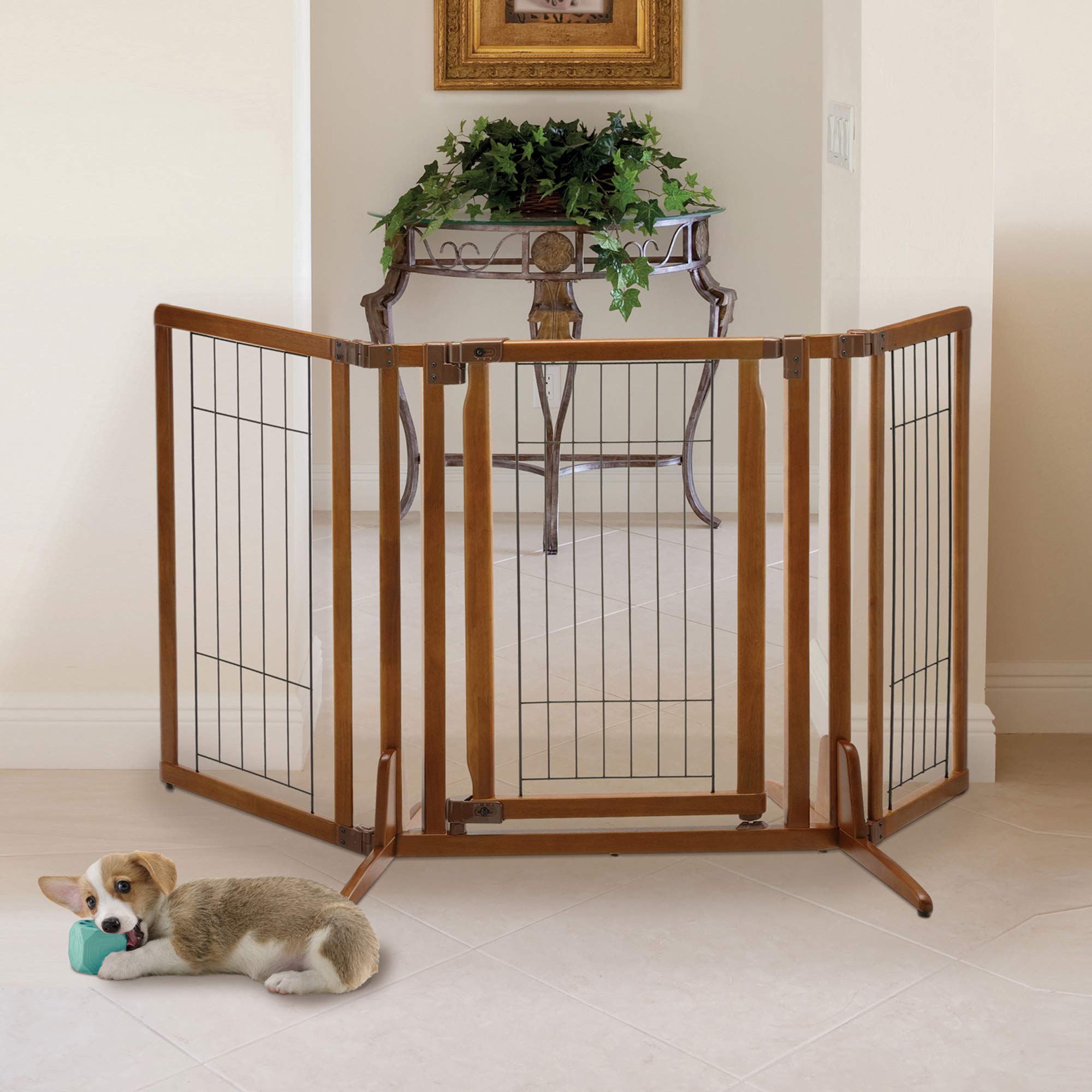 Richell Premium Plus Freestanding Pet Gate with Door