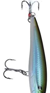 Rapala X-Rap 08 Fishing lure, 3.125-Inch, Moss Back Shiner