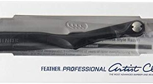 Feather Artist Club Black SS Folding Handle Razor