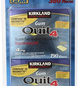 Kirkland Signature Quit Smoking Nicotine Gum, 4 mg (380 Pieces)