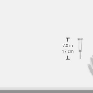 Baseline-12-1467 Aluminum Clinical Grade Nerve/Sensory Tuning Fork, 256 CPS, Weighted