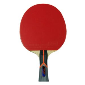 Butterfly Timo Boll Carbon Fiber Ping Pong Paddle | ITTF Approved Table Tennis Racket | Ping Pong Sponge and Rubber | Carbon Layers in Ping Pong Racket for Power | Professional Ping Pong Paddle, 1000 Model