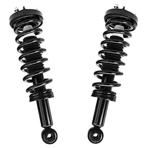 Detroit Axle - 2 Front Struts for 2004-2008 Ford F-150, 06-08 Lincoln Mark LT Complete Struts with Coil Spring 2005 2006 2007 Replacement Quick Install Ready Struts Shocks Assembly