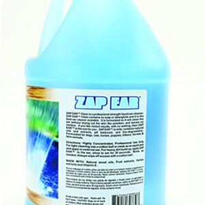 Kelco RTU Zap Ear Cleaner Gallon (KE303300)