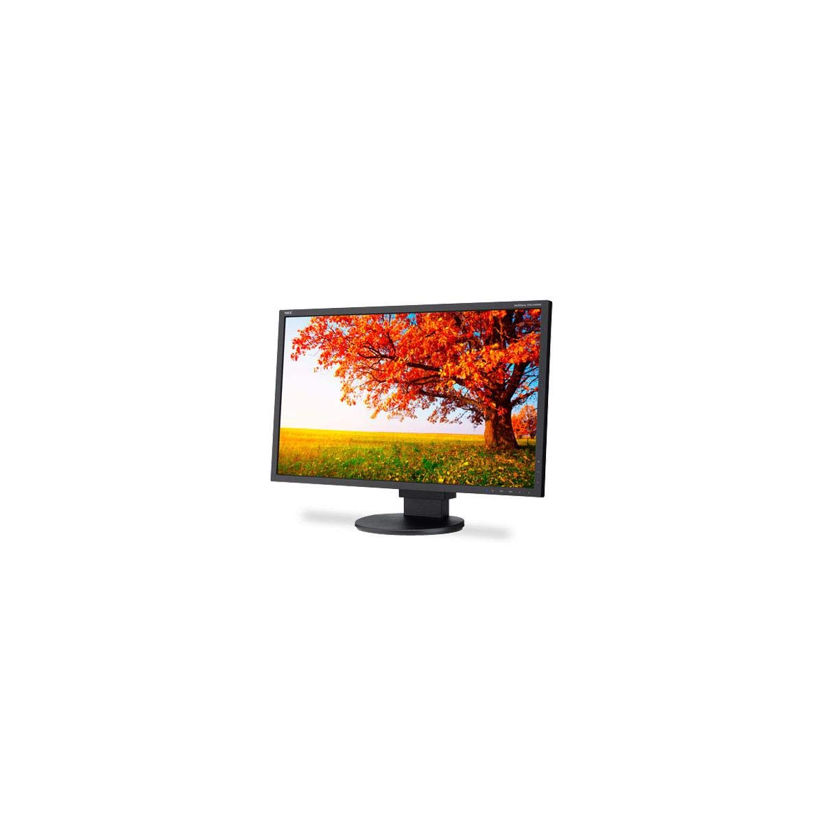 NEC EA224WMI-BK 21.5-Inch Screen LED-Lit Monitor