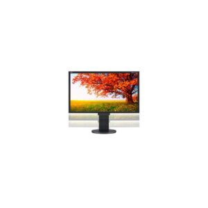 NEC EA224WMI-BK 21.5-Inch Screen LED-Lit Monitor