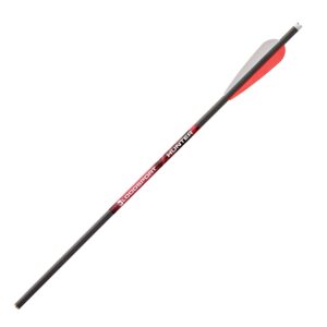 bloodsport hunter precise durable carbon hunting arrow for crossbow - 22" length, 300 grains, 300 spine.003 straightness.300 i.d.344 o.d, 6 pack black