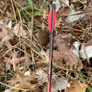 BLOODSPORT unisex adult Precise Durable Carbon Hunting Arrow for HUNTER 20 CROSSBOW BOLT , Black, US