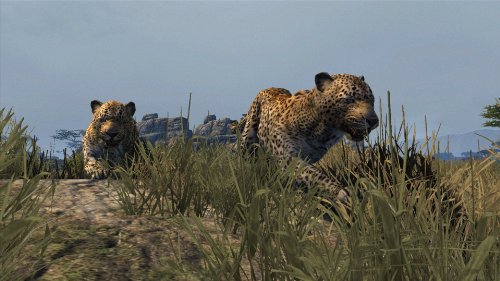 Cabela's Bundle [Download]