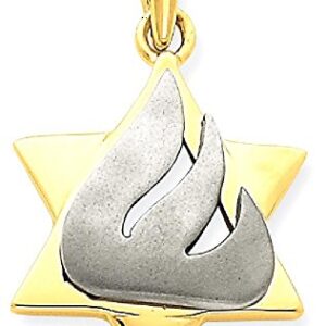 14K Two Tone Gold Star of David Jewish Magen Necklace Judaica Religious Pendant Israel Charm Only