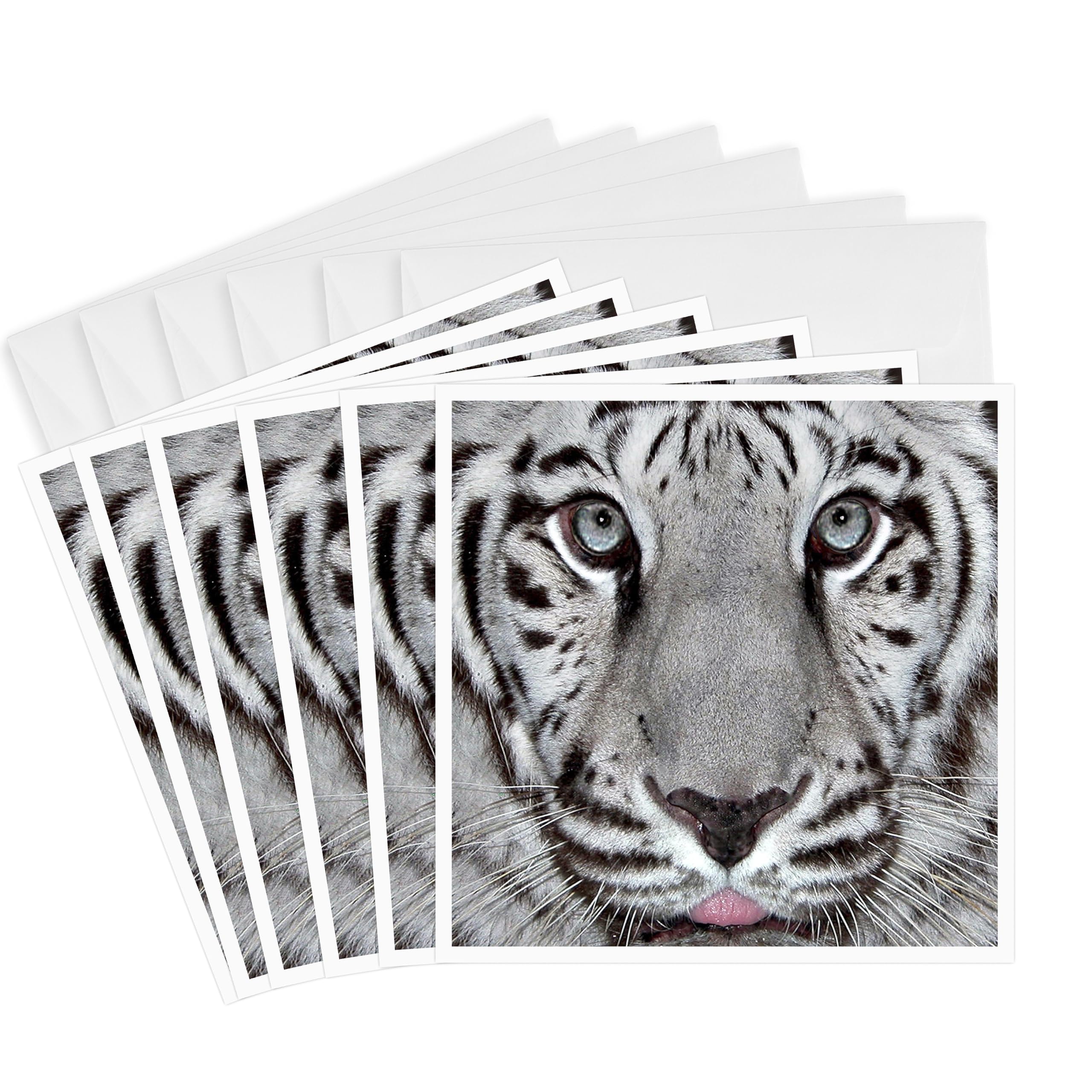 3dRose White Tiger with a Little Tonque - Greeting Cards, 6 x 6 inches, set of 6 (gc_62816_1)