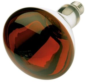 satco 250-watt br40 incandescent red heat lamp light bulb (12 pack)