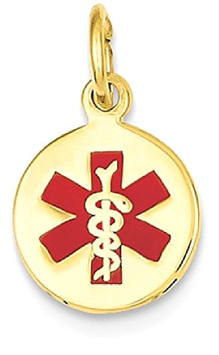 IceCarats 14K Yellow Gold Medical Alert Necklace Charm Pendant 16mm x 9.7mm Only