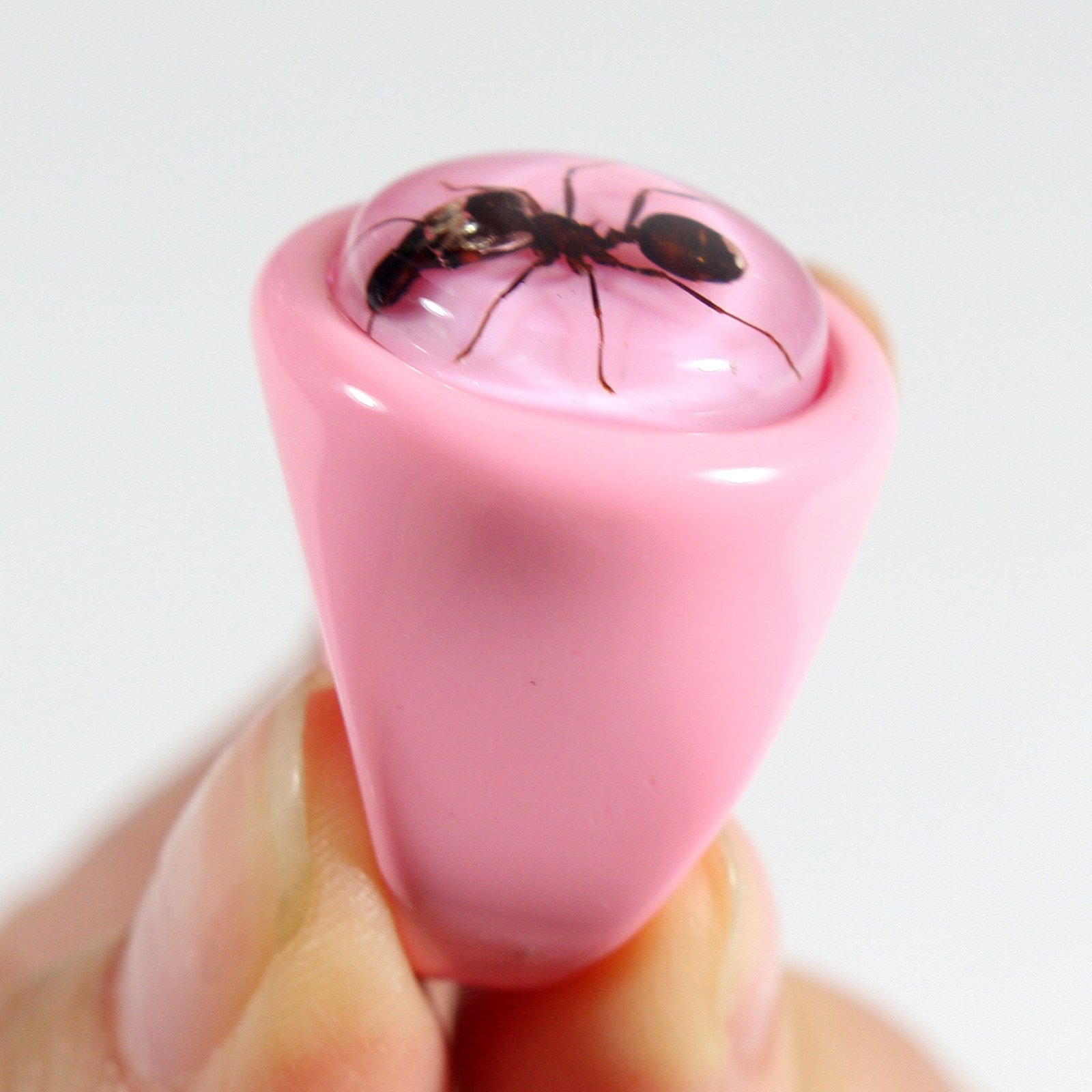 REALBUG Ant Pink Ring Size 6