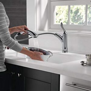 Delta Faucet Linden Single-Handle Kitchen Sink Faucet with Pull Out Sprayer, Arctic Stainless 4353-AR-DST