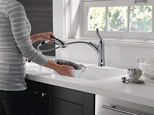 Delta Faucet Linden Single-Handle Kitchen Sink Faucet with Pull Out Sprayer, Arctic Stainless 4353-AR-DST